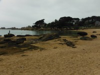 /album/de-ploumanac%27h-%c3%a0-la-presqu%27%c3%aele-de-renote/dscf8051-jpg/