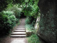 /album/de-ploumanac%27h-%c3%a0-la-presqu%27%c3%aele-de-renote/dscf8056-jpg/