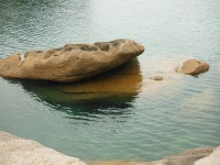 /album/de-ploumanac%27h-%c3%a0-la-presqu%27%c3%aele-de-renote/dscf8062-jpg/