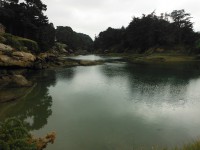 /album/de-ploumanac%27h-%c3%a0-la-presqu%27%c3%aele-de-renote/dscf8063-jpg/