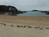 /album/de-ploumanac%27h-%c3%a0-la-presqu%27%c3%aele-de-renote/dscf8066-jpg/