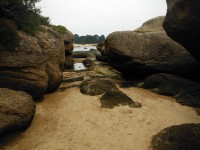 /album/de-ploumanac%27h-%c3%a0-la-presqu%27%c3%aele-de-renote/dscf8074-jpg/