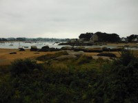 /album/de-ploumanac%27h-%c3%a0-la-presqu%27%c3%aele-de-renote/dscf8083-jpg/