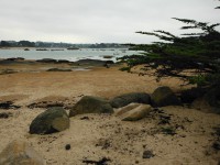 /album/de-ploumanac%27h-%c3%a0-la-presqu%27%c3%aele-de-renote/dscf8084-jpg/