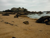 /album/de-ploumanac%27h-%c3%a0-la-presqu%27%c3%aele-de-renote/dscf8109-jpg/