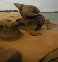 /album/de-ploumanac%27h-%c3%a0-la-presqu%27%c3%aele-de-renote/dscf8149-jpg/