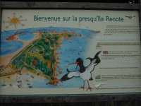 /album/de-ploumanac%27h-%c3%a0-la-presqu%27%c3%aele-de-renote/dscf8152-jpg/