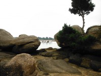 /album/de-ploumanac%27h-%c3%a0-la-presqu%27%c3%aele-de-renote/dscf8154-jpg/