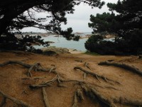 /album/de-ploumanac%27h-%c3%a0-la-presqu%27%c3%aele-de-renote/dscf8173-jpg/