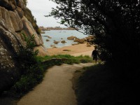 /album/de-ploumanac%27h-%c3%a0-la-presqu%27%c3%aele-de-renote/dscf8185-jpg/