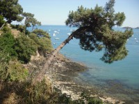 /album/de-cancale-%c3%a0-saint-malo/sam-1740-jpg/