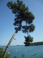 /album/de-cancale-%c3%a0-saint-malo/sam-1742-jpg/