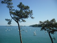 /album/de-cancale-%c3%a0-saint-malo/sam-1745-jpg/