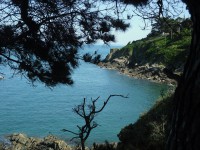 /album/de-cancale-%c3%a0-saint-malo/sam-1769-jpg/