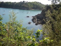 /album/de-cancale-%c3%a0-saint-malo/sam-1788-jpg/